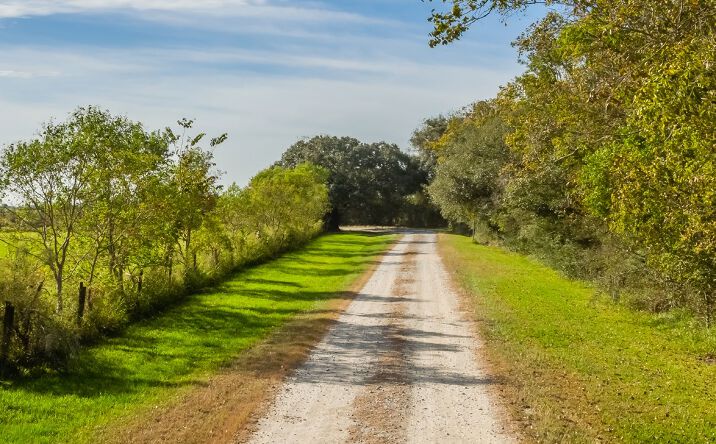 Pictures of Land property located at 332 acre, Devers, TX 77538 for sales - image #1