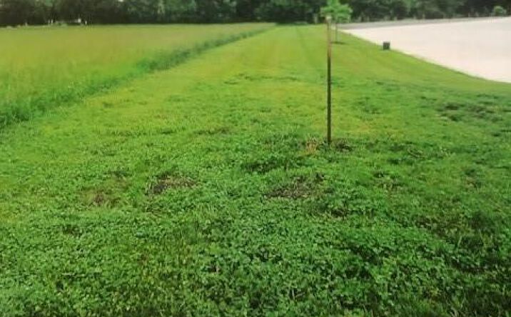 Pictures of Land property located at 20100 Metcalf Avenue, Stilwell, KS 66085 for sales - image #1