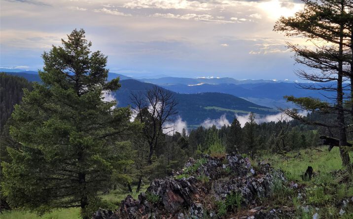 Pictures of Land property located at 2700 Westridge Road, Helmville, MT 59843 for sales - image #1