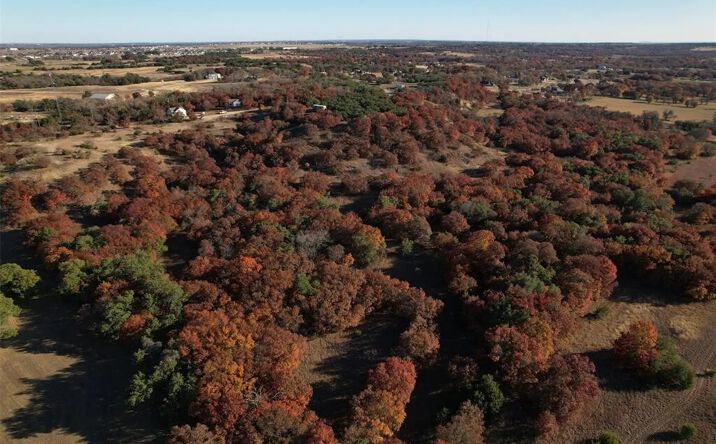 Pictures of Land property located at 395 Pepper Ln, Weatherford, TX 76088 for sales - image #1