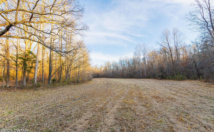 Pictures of Land property located at 0 State Route 100 E, Medon, TN 38356 for sales - image #1