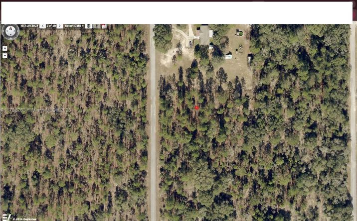 Pictures of Land property located at SW Viola Ct, Other City - In The State Of Florida, FL 34431 for sales - image #1