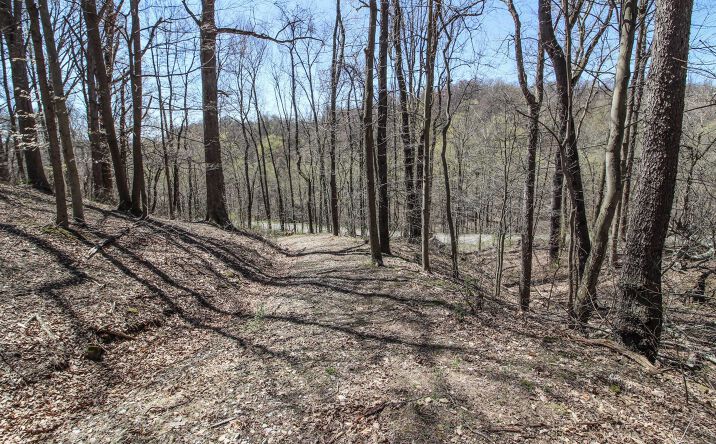 Pictures of Land property located at 0 Mercer Road, St. Clairsville, OH 43950 for sales - image #1