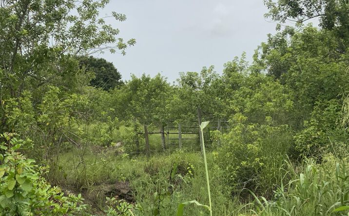 Pictures of Land property located at Pulitzer Rd, Ft Pierce, FL 34945 for sales - image #1