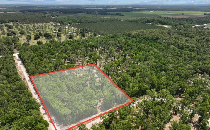 Pictures of Land property located at 186th Ter, McAlpin, FL 32062 for sales - image #1