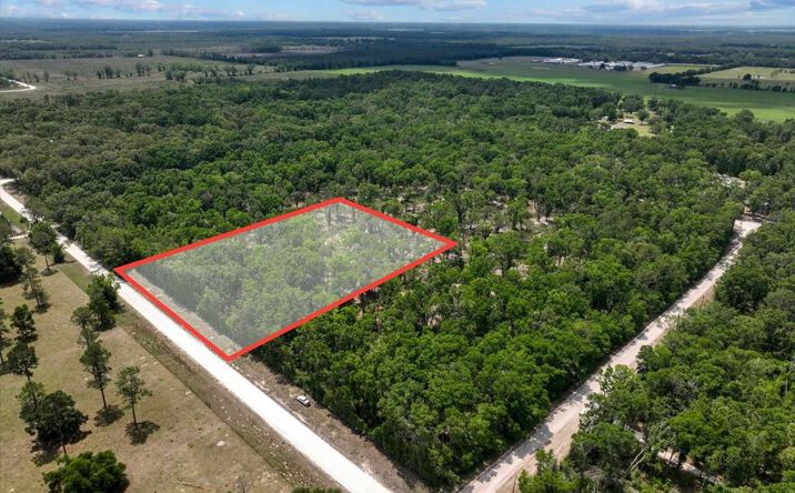 Pictures of Land property located at 89th Rd, McAlpin, FL 32062 for sales - image #1