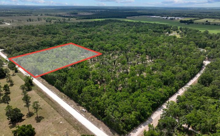 Pictures of Land property located at 89th Rd, McAlpin, FL 32062 for sales - image #1