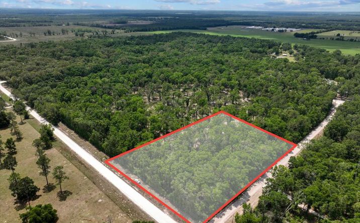 Pictures of Land property located at 89th Rd, McAlpin, FL 32062 for sales - image #1
