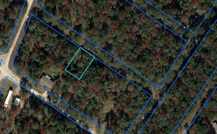 Pictures of Land property located at LOT 13 NE 5th St, Williston, FL 32696 for sales - image #1