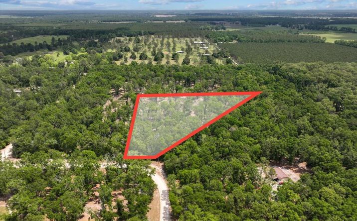 Pictures of Land property located at 186th Ter, McAlpin, FL 32062 for sales - image #1