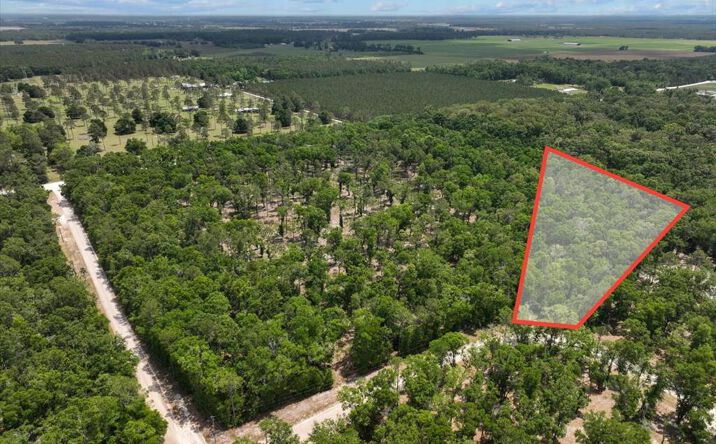 Pictures of Land property located at 186th Ter, McAlpin, FL 32062 for sales - image #1