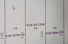 23022396