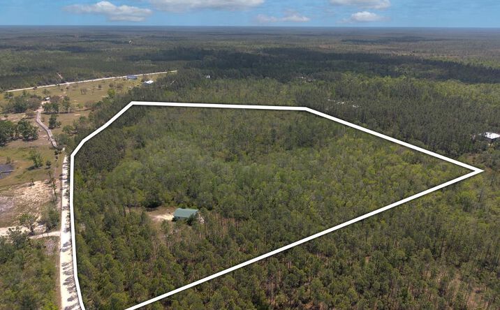 Pictures of Land property located at 451 SW 320th Ave, Steinhatchee, FL 32359 for sales - image #1