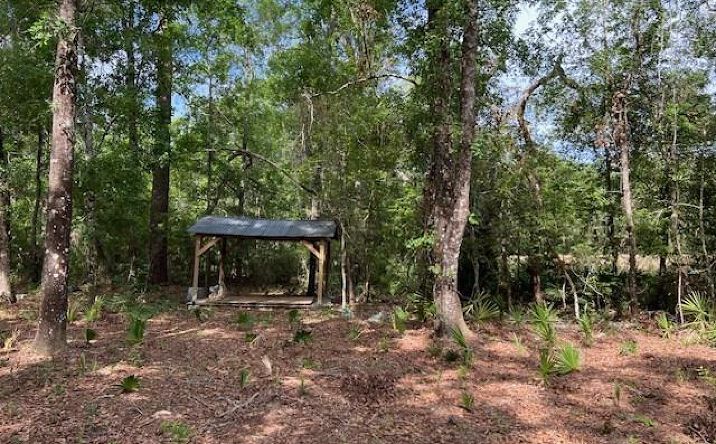 Pictures of Land property located at TBD SE 929th St, Old Town, FL 32680 for sales - image #1