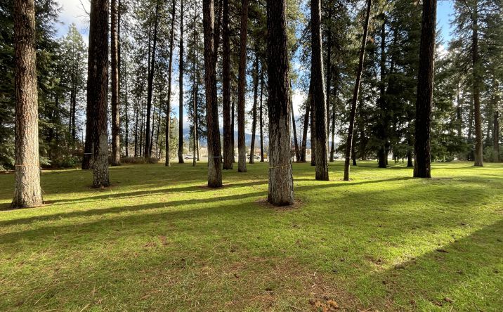 Pictures of Retail, Office, Land property located at North Mineral Drive, Coeur d'Alene, ID 83815 for sales - image #1