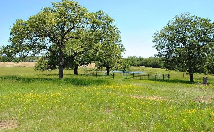 Pictures of Land property located at 21741 I-10 Frontage Rd, Luling, TX 78648 for sales - image #1