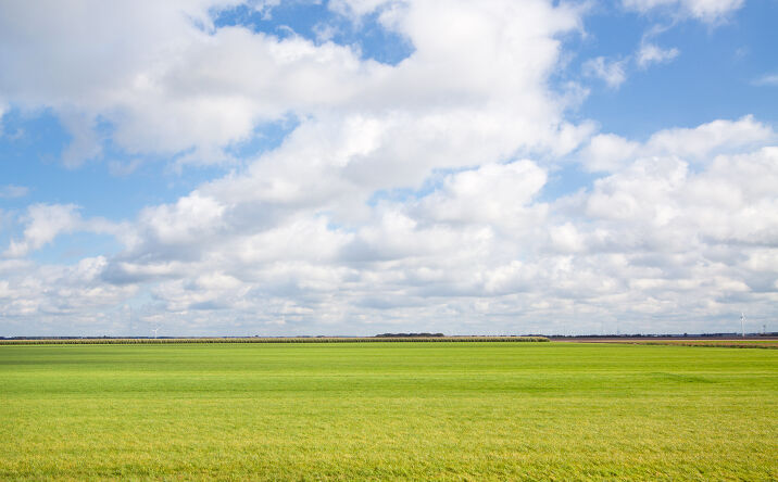 Pictures of Land property located at S. of S. Lake Rd., E. of Gardner Field Rd., San Emidio, CA 93311 for sales - image #1
