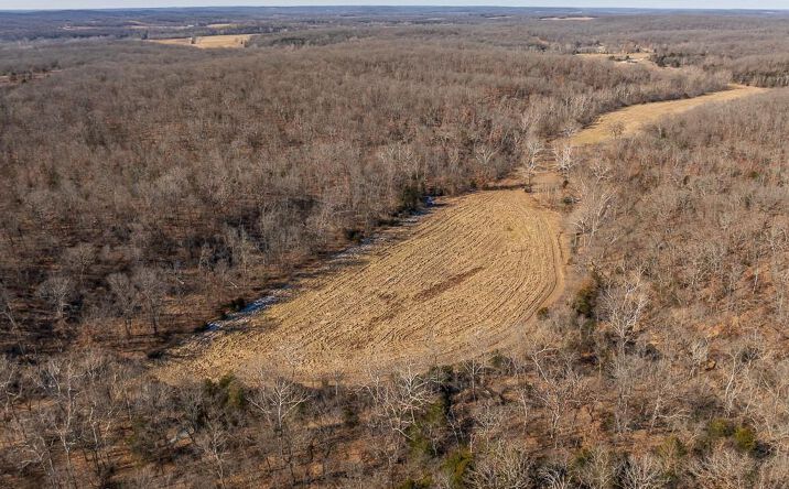 Pictures of Land, Special Purpose property located at J Hwy Highway, Collins, MO 64738 for sales - image #1