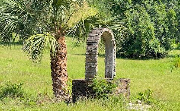 Pictures of Land property located at 14 NE 824th St, Old Town, FL 32680 for sales - image #1