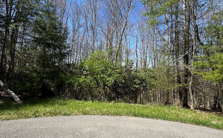 Pictures of Land property located at 250 Glen Planters Lane, Daniels, WV 25832 for sales - image #1