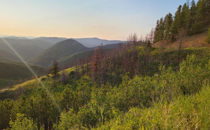 Pictures of Land property located at TBD Haul Road, Zortman, MT 59546 for sales - image #1