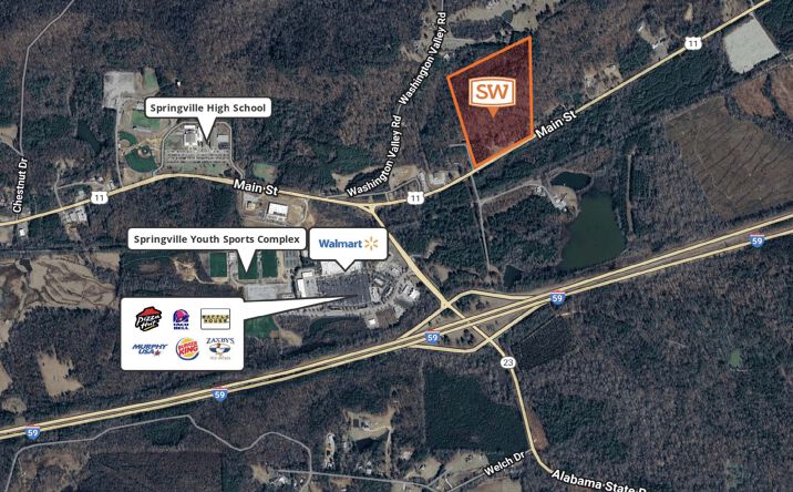 Pictures of Land property located at Highway 11, Springville, AL 35146 for sales - image #1