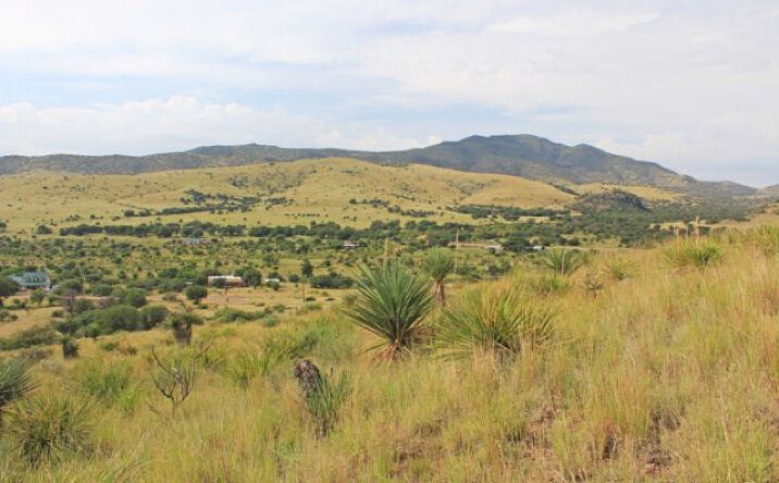 Pictures of Land property located at 103 Hillcrest Drive, Fort Davis, TX 79734 for sales - image #1