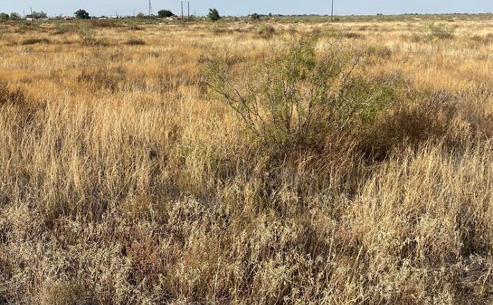 Pictures of Land property located at 0 #1 SE 2150, Andrews, TX 79714 for sales - image #1
