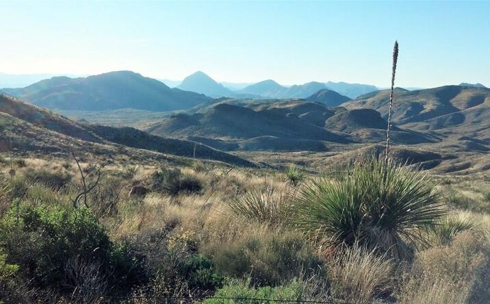 Pictures of Land property located at 6363 Cedar Springs Road, Terlingua, TX 79852 for sales - image #1
