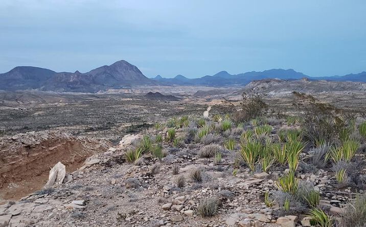 Pictures of Land property located at F35 Raven Rd., Terlingua, TX 79852 for sales - image #1