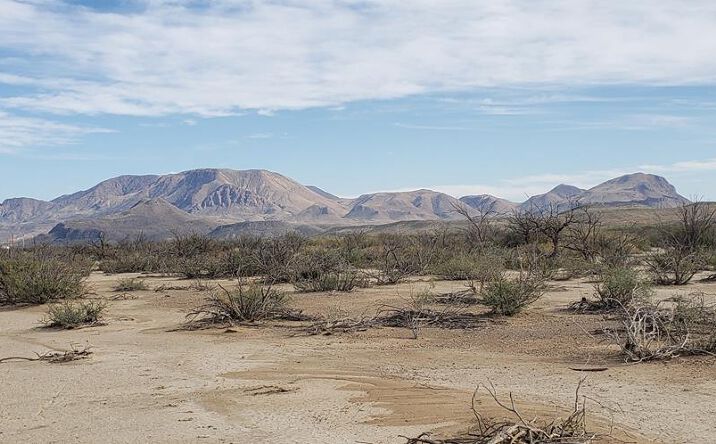 Pictures of Land property located at C216 Iwo Jima Pass, Terlingua, TX 79852 for sales - image #1