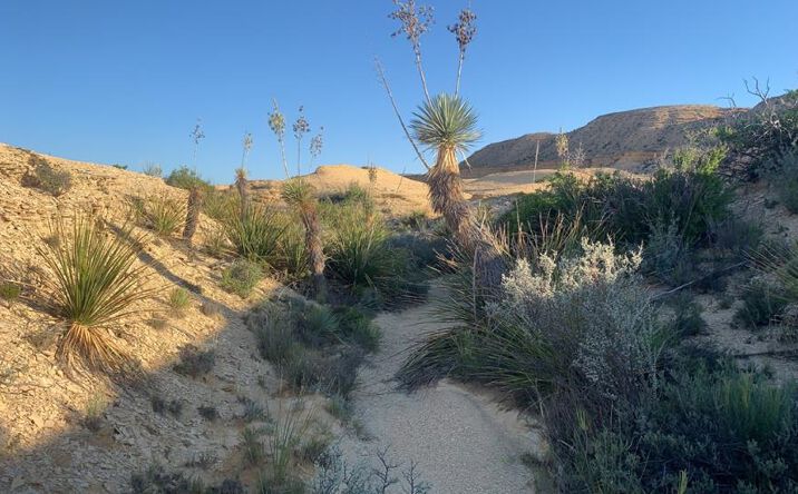 Pictures of Land property located at 1701 La Luna Rd, Terlingua, TX 79852 for sales - image #1
