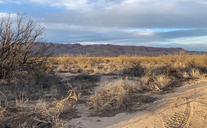 Pictures of Land property located at 101 Redford, Terlingua, TX 79852 for sales - image #1