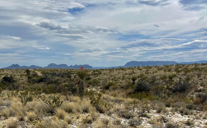 Pictures of Land property located at TR:G 631 McIntyre, Terlingua, TX 79852 for sales - image #1