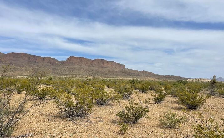 Pictures of Land property located at TR 4749 Private Rd, Terlingua, TX 79852 for sales - image #1