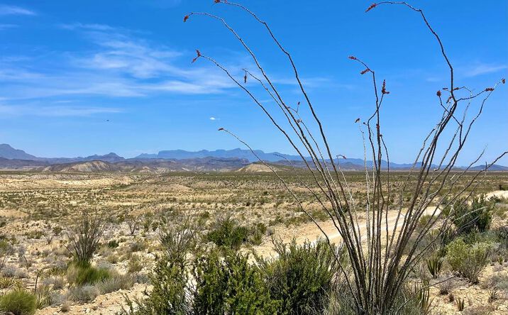 Pictures of Land property located at TR 2423 Herman's Peak Rd, Terlingua, TX 79852 for sales - image #1