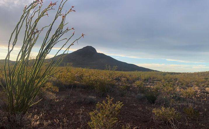 Pictures of Land property located at 66 Cats Eye Rd, Terlingua, TX 79852 for sales - image #1