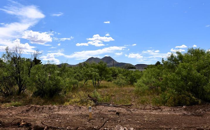 Pictures of Land, Multifamily property located at 411 Sagebrush Road, Alpine, TX 79830 for sales - image #1