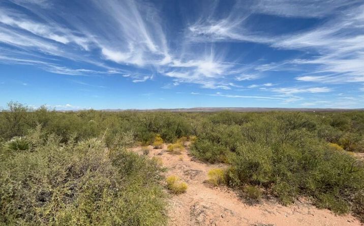 Pictures of Land property located at TBD John Conoly Rd, Van Horn, TX 79855 for sales - image #1