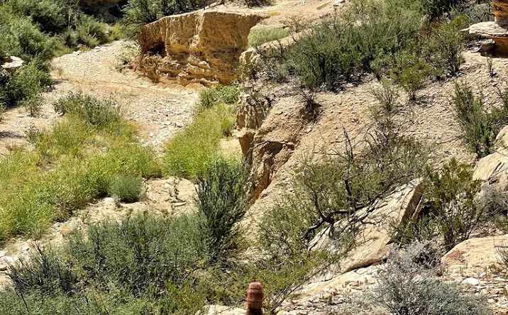 Pictures of Land property located at BLK 217 Mailbox Rd, Terlingua, TX 79852 for sales - image #1