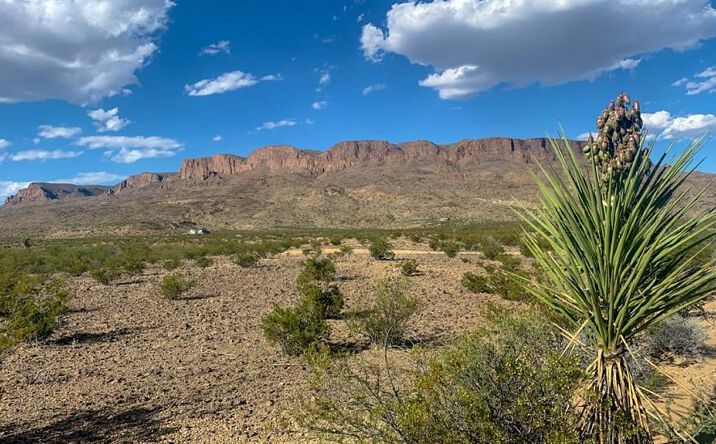 Pictures of Land property located at 500 Virgil Clark Rd, Terlingua, TX 79852 for sales - image #1