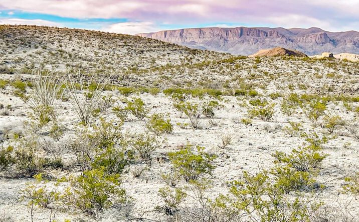 Pictures of Land property located at 19800 Reimers Road, Terlingua, TX 79852 for sales - image #1