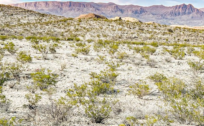 Pictures of Land property located at 19795 Reimers Road, Terlingua, TX 79852 for sales - image #1