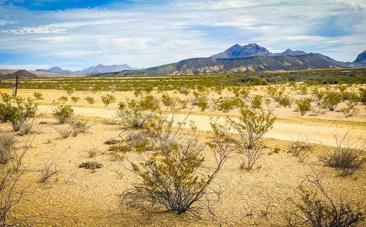 Pictures of Land property located at 201 S Rodriguez Rd., Terlingua, TX 79852 for sales - image #1