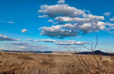 23110726
