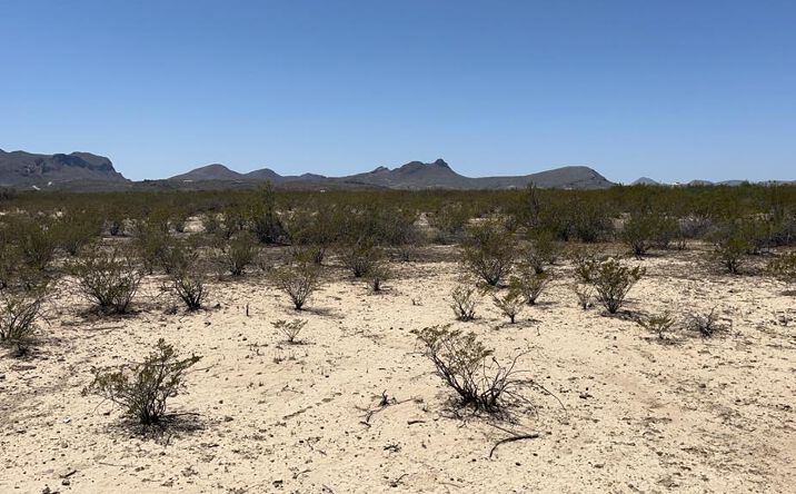 Pictures of Land property located at 4500 Diamond Back Rd, Terlingua, TX 79852 for sales - image #1