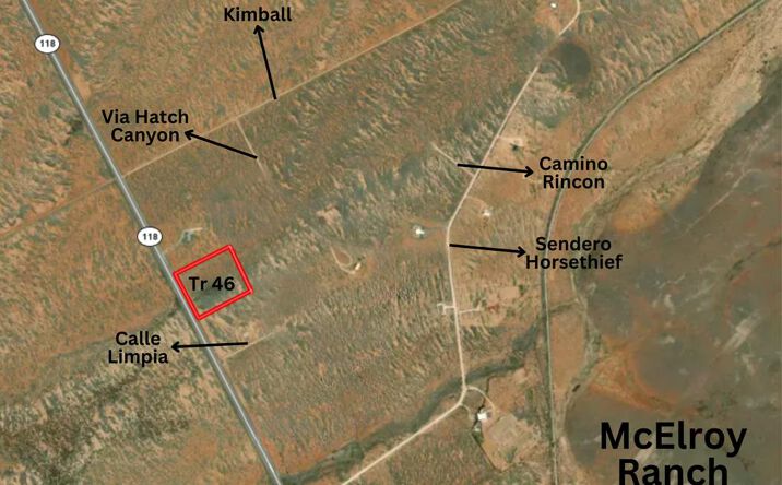 Pictures of Land, Multifamily property located at Tr 46 Hwy 118, Alpine, TX 79830 for sales - image #1