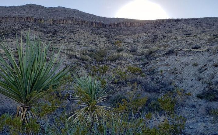 Pictures of Land property located at 1 Red Fox Rd., Terlingua, TX 79852 for sales - image #1