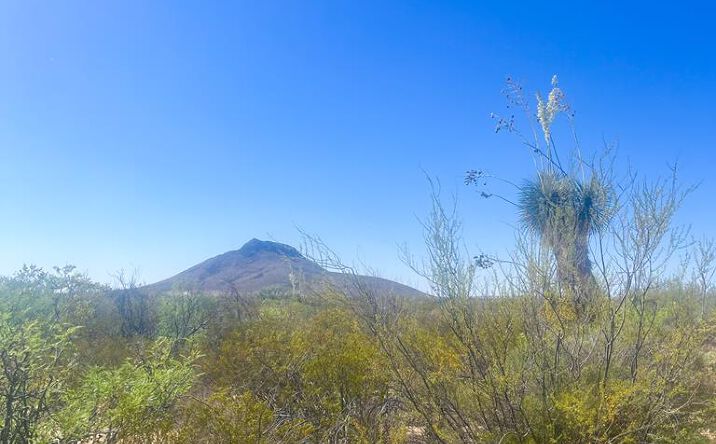 Pictures of Land property located at 800 Antonio Road, Terlingua, TX 79852 for sales - image #1
