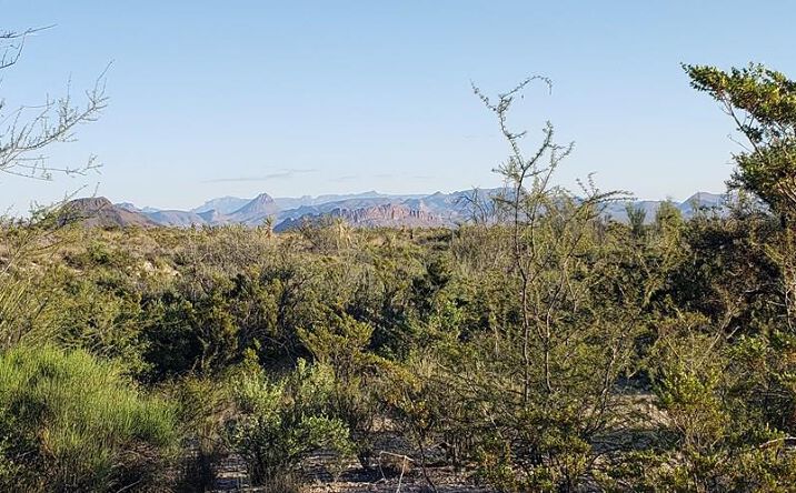 Pictures of Land property located at 220 Warnock Rd, Terlingua, TX 79852 for sales - image #1
